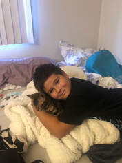 Toby in his new home in Alaska, Registeredbengals.com