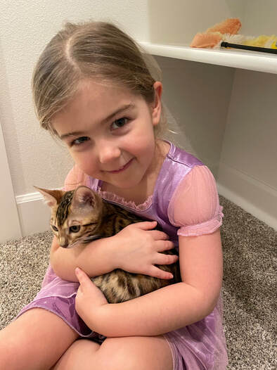 Bengaltimecattery.com Leana