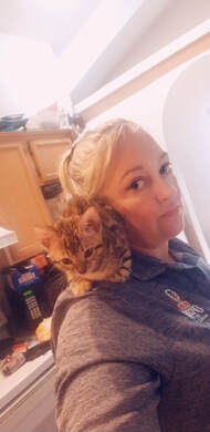 Registered Bengal Kitten in Seattle