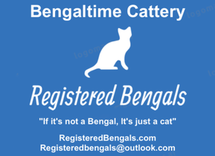 Registeredbengals.com
