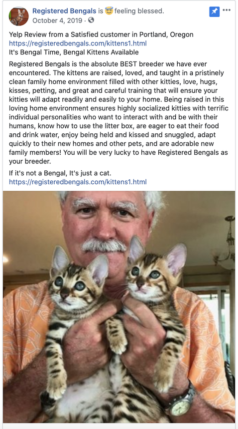 Bengaltimecattery.com Reviews