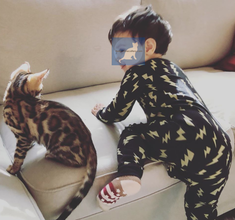 Bengaltimecattery.com. Bengals & Children/kids
