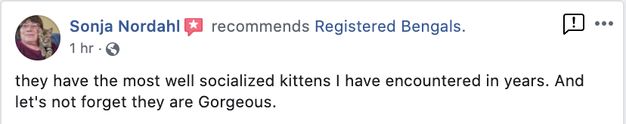 Bengaltimecattery.com Recommendation