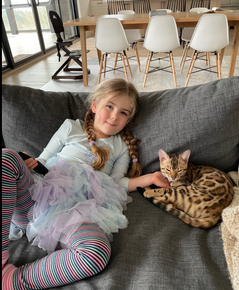 Bengaltime Leana Registeredbengals.com